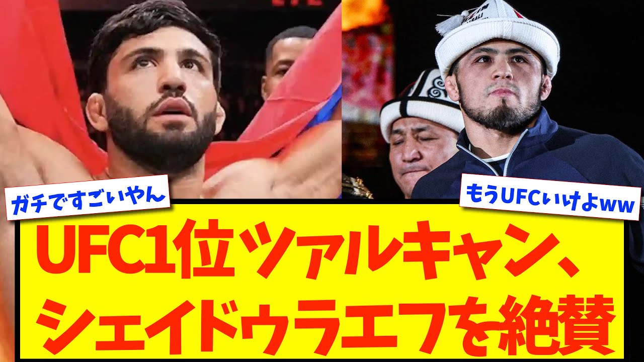 【絶賛】UFCライト級1位ツァルキャンがシェイドゥラエフを絶賛！【格闘技反応】【ネットの反応】