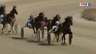 Vidéo de la course PMU PREMI STRELLA MA