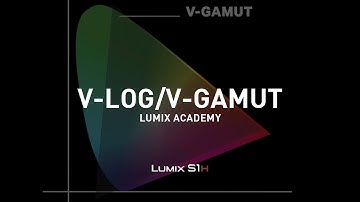 LUMIX S1H Tutorial 13: Undertstanding V LOG and V GAMUT