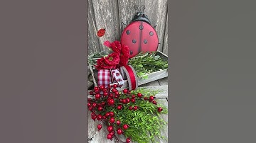 Red and Black Ladybug Wreath Kit