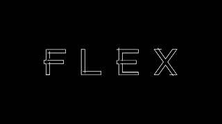 FLEX INTRODUCTION