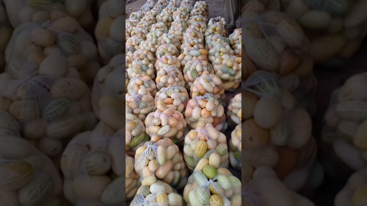 sabzi mandi uk rate update 