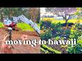 🌺 HAWAII Garden Tour 