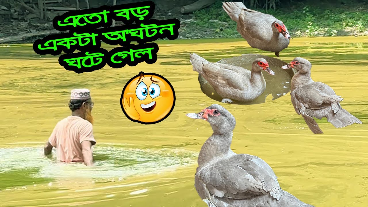 এতো বড় একটা অ'ঘটন ঘটে গেল আমার খামারে??