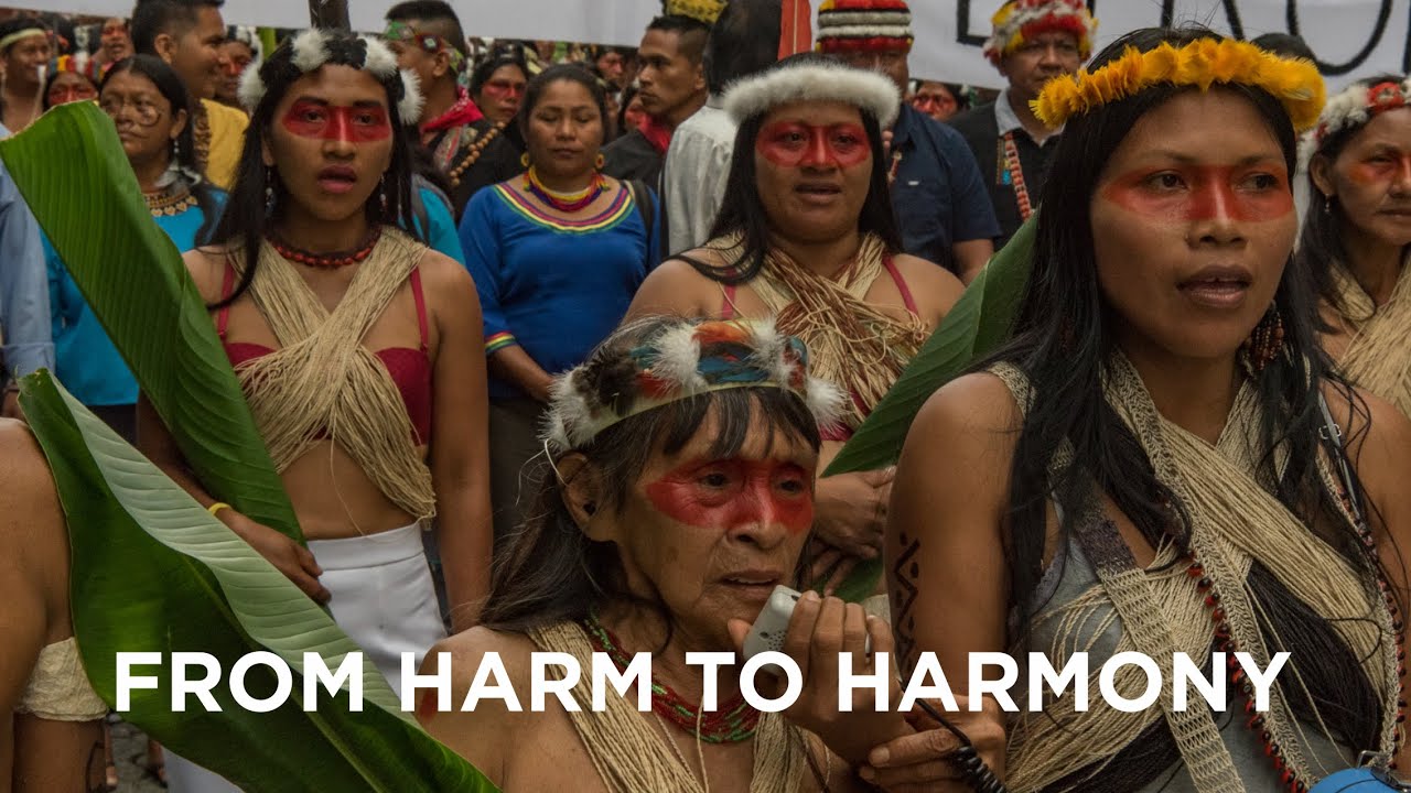 From Harm To Harmony