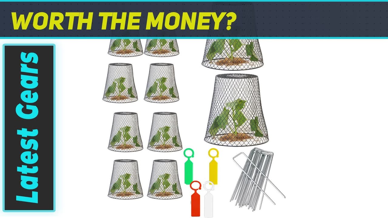Garden Chicken Wire Cloche: Ultimate Plant Protection?