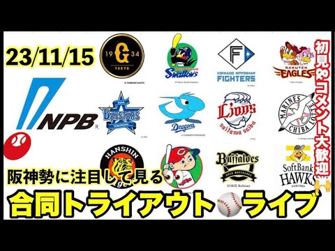 【プロ野球】合同トライアウト2023 ライブ #阪神タイガース #阪神 #トライアウト