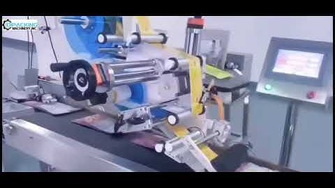 Automatic noodle food bag pouch paging feeding labeling machine testing video