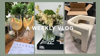 WEEKLY VLOG | new cb2 furniture, mental health, clean w/ me