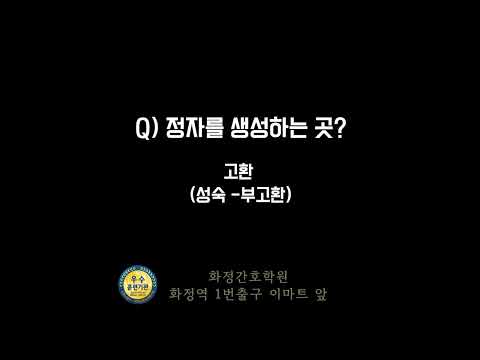 [화정간호학원 오디오북] 기초간호9- 간호조무사국가고시 기출요약