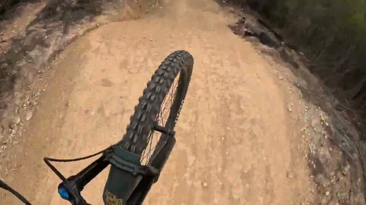 At Mogo yesterday fun ride (nearly died)