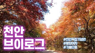 【평양부부 Vlog】 독립기념관 그리고 천안의 가을