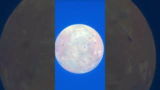 Io moon most volcanic #Celestia#Stellarium#VirtualAstronomy#SpaceSimulation