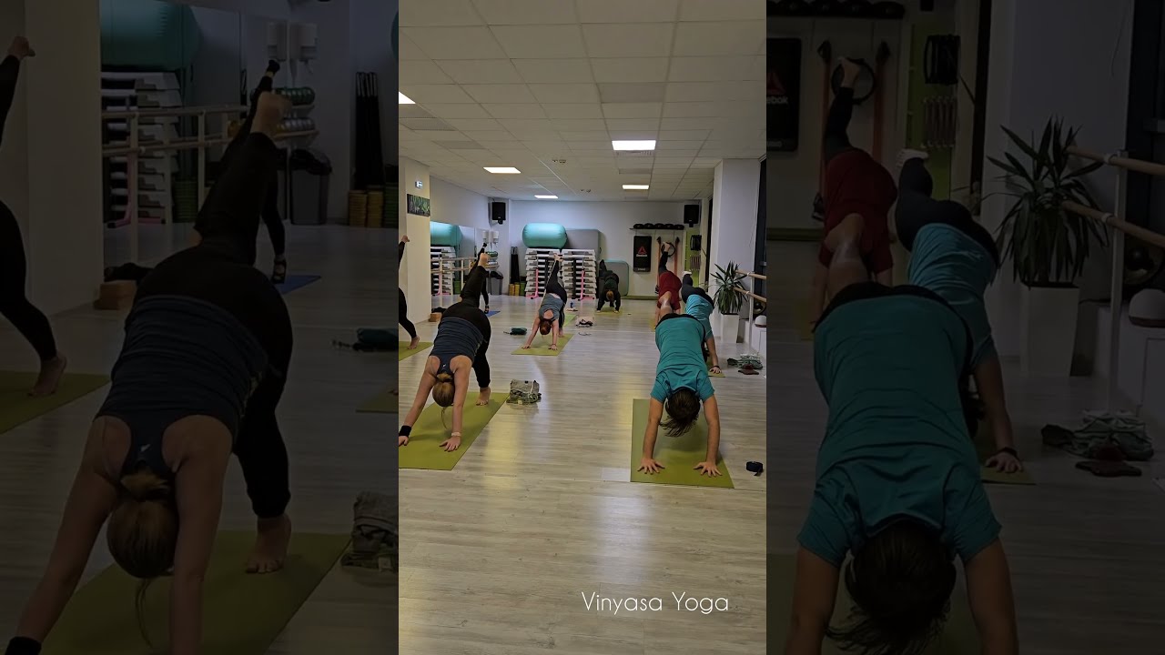 VINYASA YOGA - D' Point Studio - Trailer