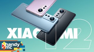 Review: Xiaomi 12 vs 12 Pro vs 12 X | Die Serie im Vergleich