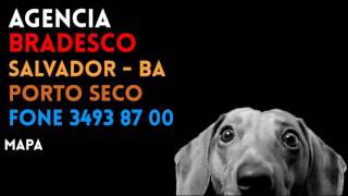 Agencia BRADESCO em SALVADOR BA PORTO SECO Contato e endereco