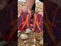 Woww red jasper 🤩💥 #agate #satisfying #naturalamethyst #discovery #colourfulstones #adventure #gold