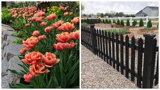 Spring Blooms & Vegetable Garden Tour! 🌸🥦😃// Garden Answer