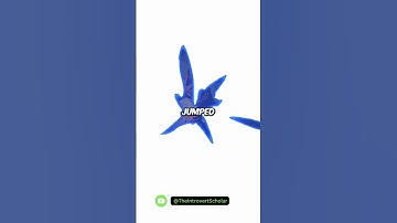 WEIRD and Bizarre Facts about History You Won’t Learn Anywhere Else PART-15 #shorts #history