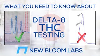NEW BLOOM LABS: What You Need to Know About Delta-8 THC Testing