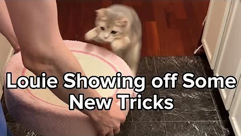 Watch the video about Louie showing off his new tricks