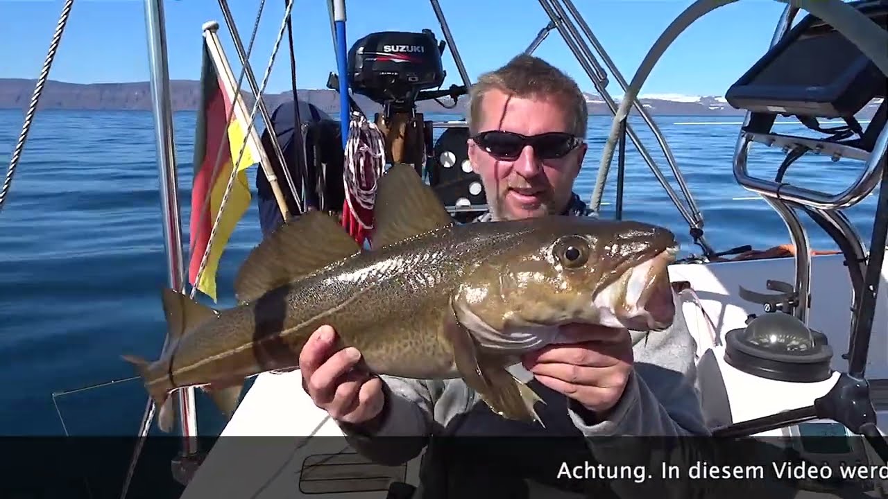 Angeln in Island vom Segelboot #24 @XTripSailing Einhand Segeln Abenteuer