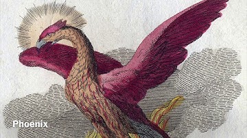 Mythical Creatures Sound Effects Part 2