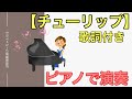 【チューリップ】ピアノ 童謡 歌詞付き