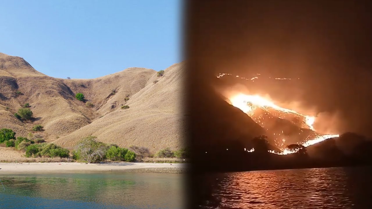 Puluhan Hektar Lahan Di Gililawa Kawasan Taman Nasional Komodo