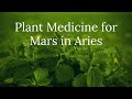 Plant Medicine for Mars in Aries