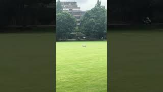 the robot lawn mower at Trinity College Dublin
