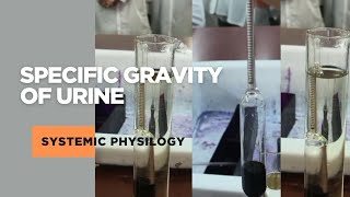 Determining Specific Gravity of Urine Physiology|DVM|CVASU|