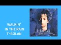 WALKIN' IN THE RAIN/T-BOLAN【歌ってみた】