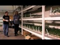 Jorge at Floweryfield BONUS VIDEO