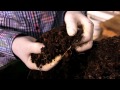 Jorge at Floweryfield BONUS VIDEO