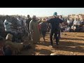 شحال شحال تخرجي شحال معى الشيخ عواد شحال شحال تخرجي شحال معى الشيخ عواد