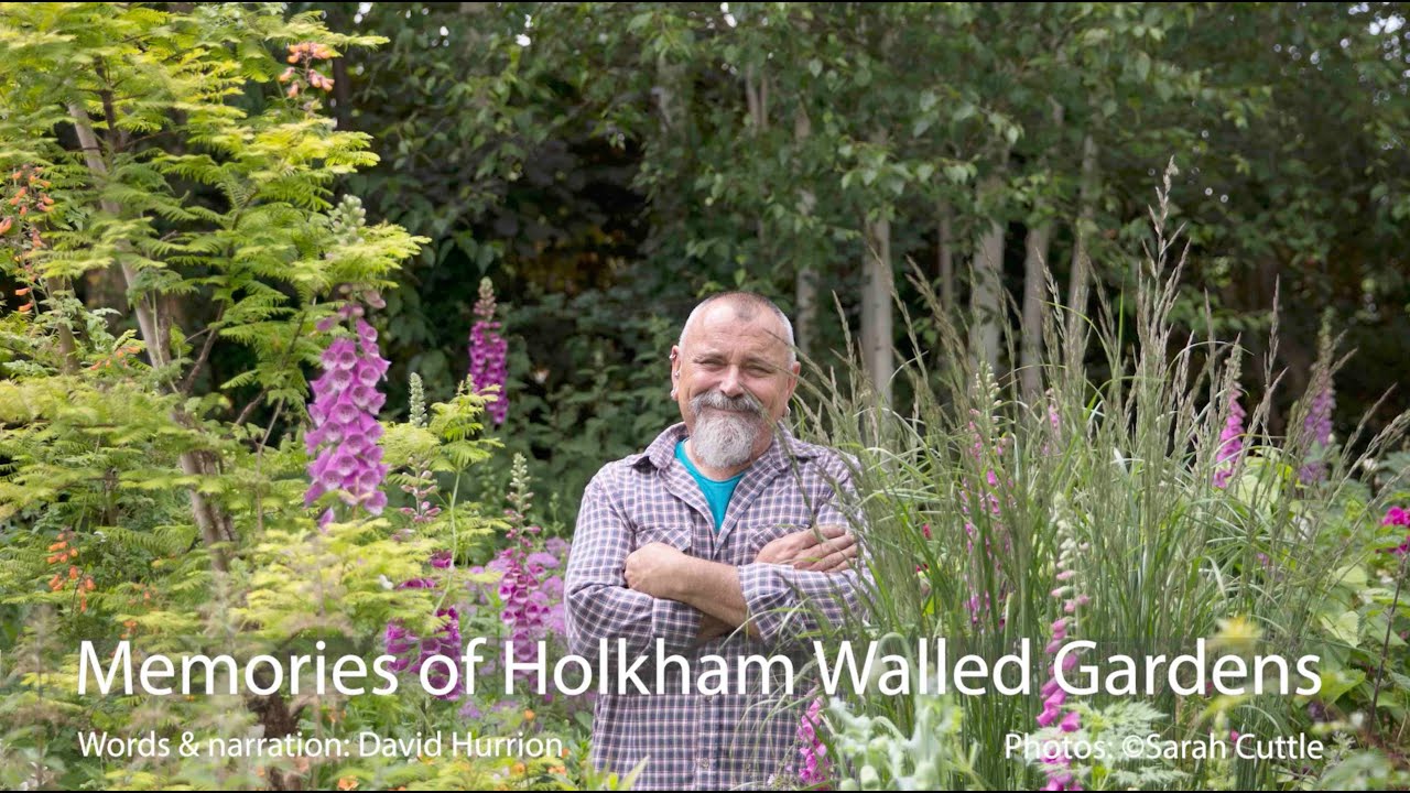 David’s Memories of Holkham Walled Gardens
