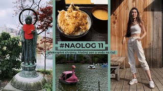 #NAOLOG 11 | Překvapivé chrámy, hlučný zen a voda na čaj!