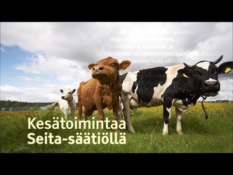 Video: Mitä kausitoimintaa ovat?