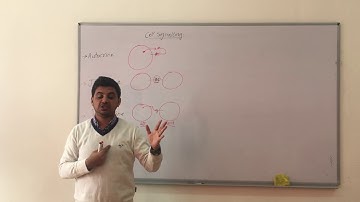 Cell Signalling part 1