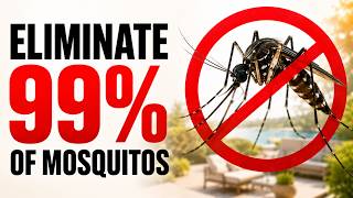 Guaranteed Way To Eliminate Mosquitos Fast!
