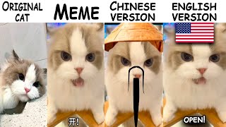 Chinese Cat Original vs Meme Vs Chinese version🐉  Vs English version🦅