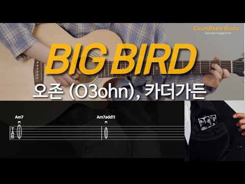 BIG BIRD (기타) - 오존 (O3ohn), 카더가든