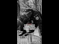 NYPD cop reacts to photo of him chasing down Gracie Mansion terror suspect