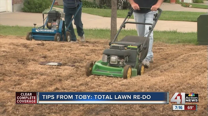 Tips from Toby: Total lawn re-do