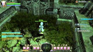Dragon Nest BUG ~ Enter the Hero