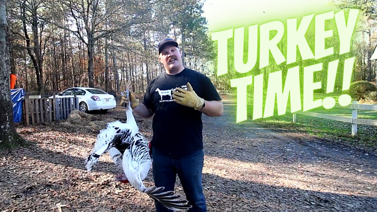 You CAN butcher a turkey!