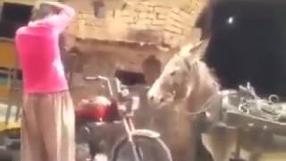 A funny man dancing and afraid the donkey