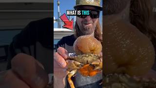 This Pregnant Crab Was Carrying Something Terrifying #animals #wildliferescue