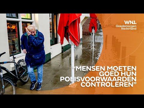 Video: Wordt schade door knaagdieren gedekt door de verzekering?